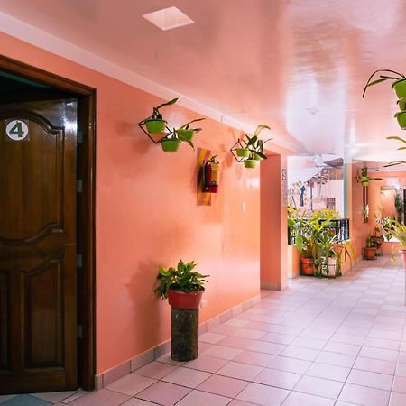 Alpa Kasa Chachapoyas Hotel Exterior foto